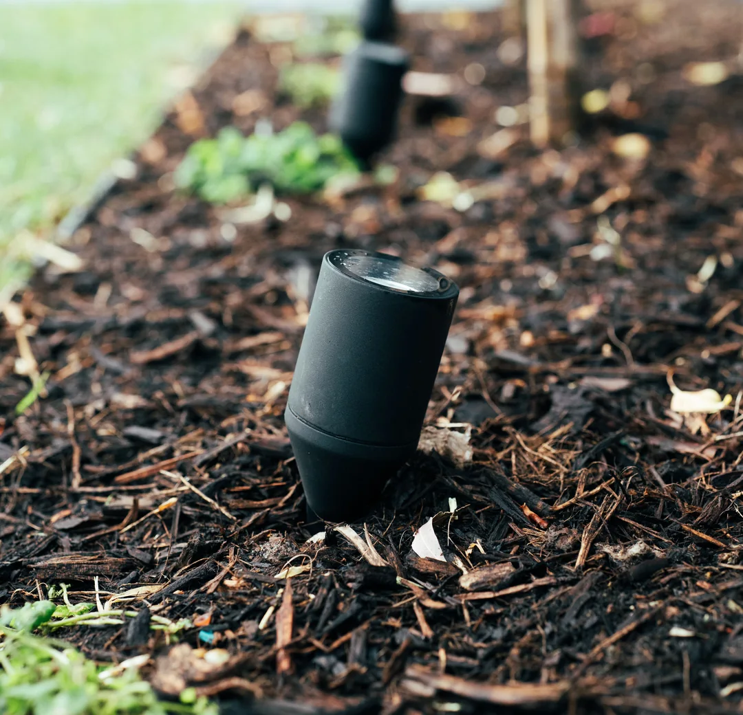 Black spike light set among plants in a mulched garden bed