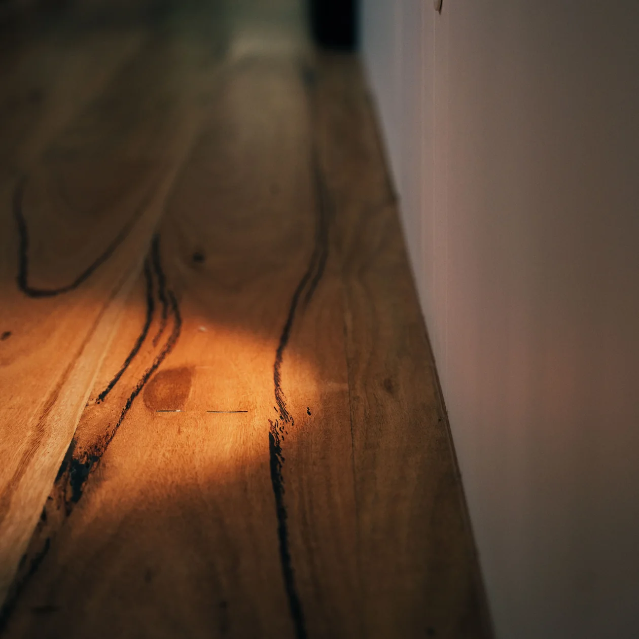 Warm low-level light glowing across timber floorboards