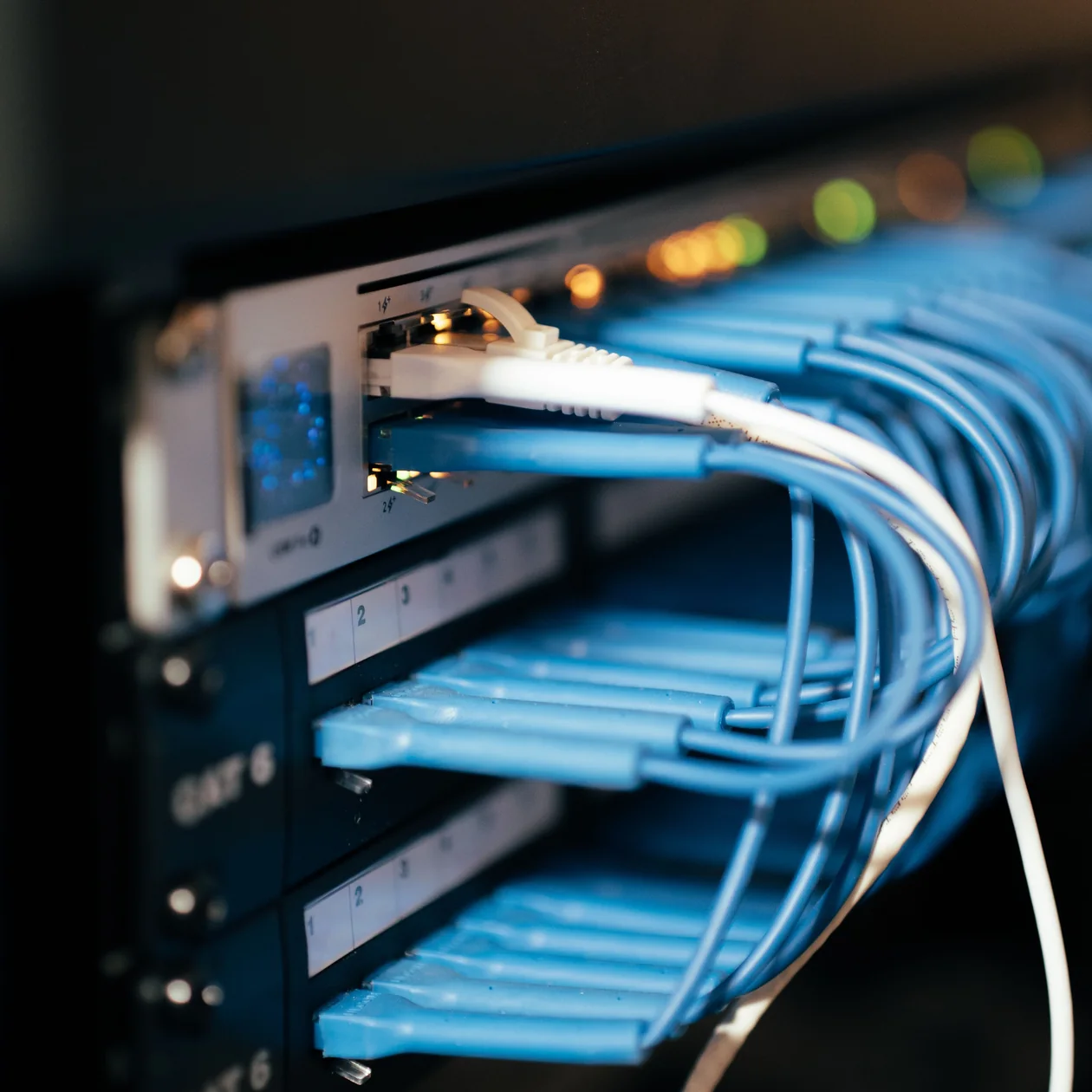 Blue network cables plugged into a rack-mounted patch panel