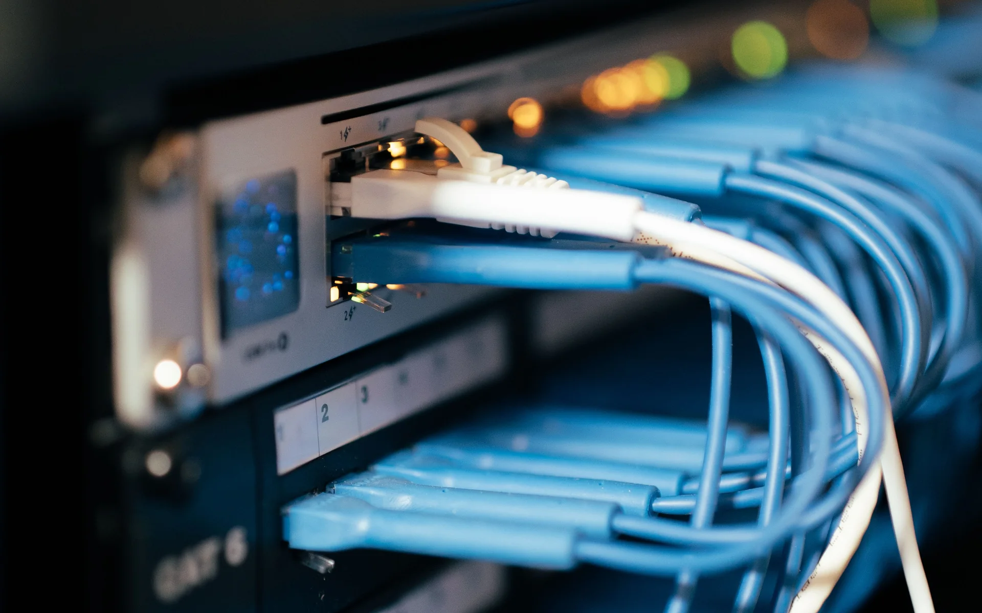 Blue and white data cables plugged into a rack-mounted network switch